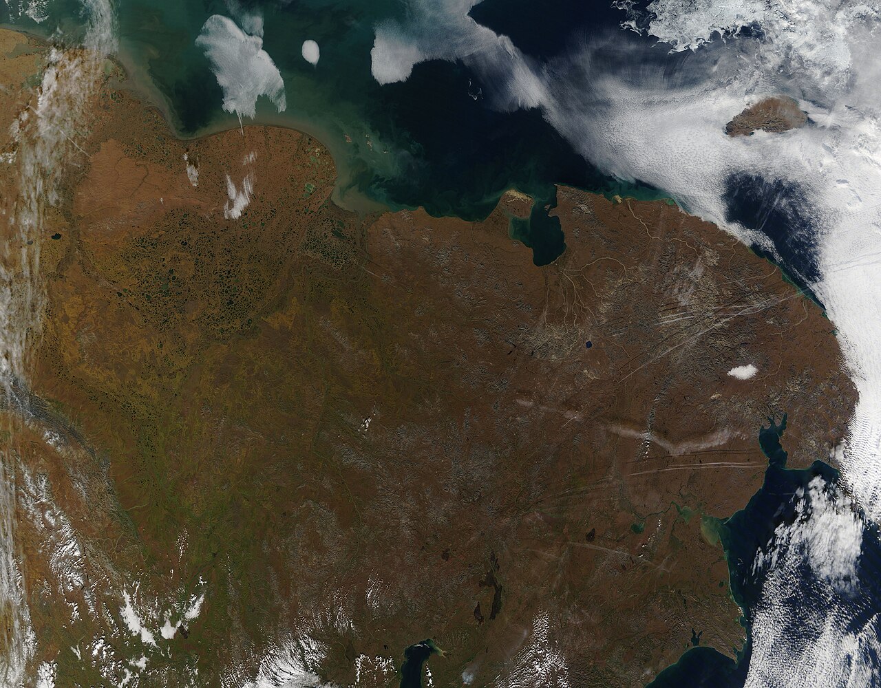 Лаборатория кадастров животного и растительного мира